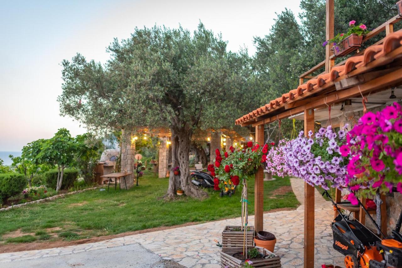 Holiday Park Olive Tree Ulcinj Eksteriør bilde