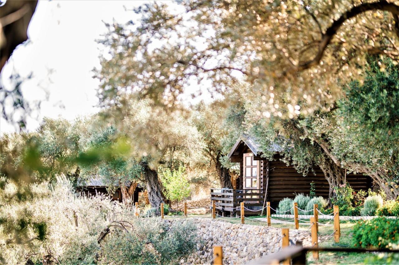 Holiday Park Olive Tree Ulcinj Eksteriør bilde