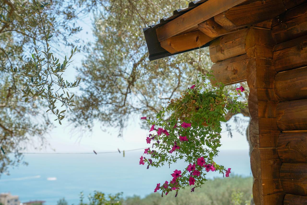 Holiday Park Olive Tree Ulcinj Eksteriør bilde